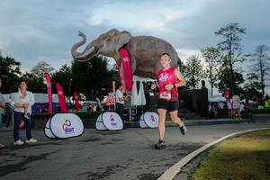 BIB: 
                            <button type="button" onclick="openModal(26529435)" class="btn btn-primary btn-sm float-right btn-popup" data-toggle="modal" data-target=".modal-high-quality">
                        <i class="fas fa-shopping-cart"></i> Add to Cart
                    </button>
                                            <button type="button" onclick="isThisMe(26529435, true)" class="btn btn-success btn-sm float-right btn-popup btn-isme hidden" data-toggle="tooltip" data-placement="bottom" title="นี่คือรูปของคุณใช่ไหม คลิกที่นี่เพื่อเอาเข้าอัลบั้ม">
                        <i class="fas fa-plus"></i> Add to album
                    </button>
                    <button type="button" onclick="isThisMe(26529435, false)" class="btn btn-warning btn-sm float-right btn-popup btn-isnotme hidden">
                        <i class="fas fa-ban"></i> Remove from album
                    </button>